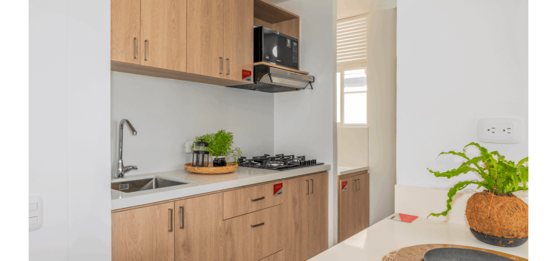 bio-image-proyect-15