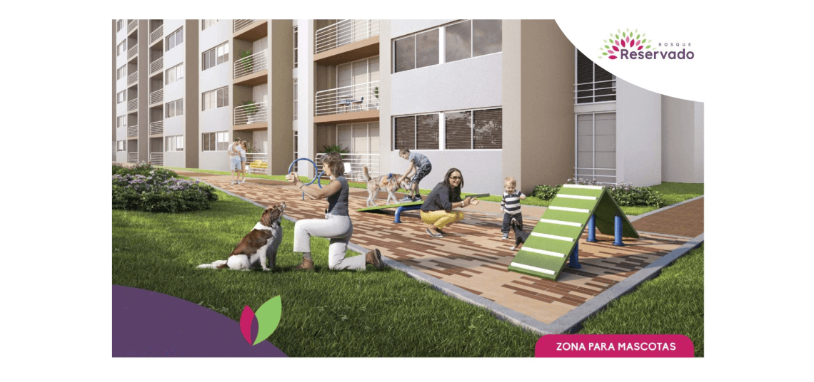 bosque-reservado-image-proyect-6